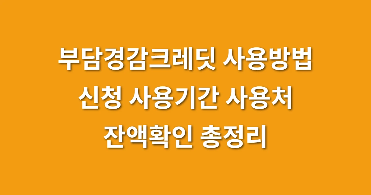 부담경감크레딧 사용방법 신청 사용기간 사용처 잔액확인 총정리