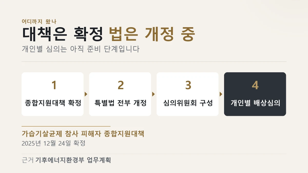 가습기살균제 배상체계가 대책 확정에서 개인별 심의까지 가는 순서를 보여 주는 이미지