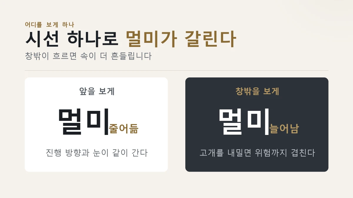 강아지가 앞을 볼 때와 창밖을 볼 때 멀미가 갈리는 것을 보여주는 그림