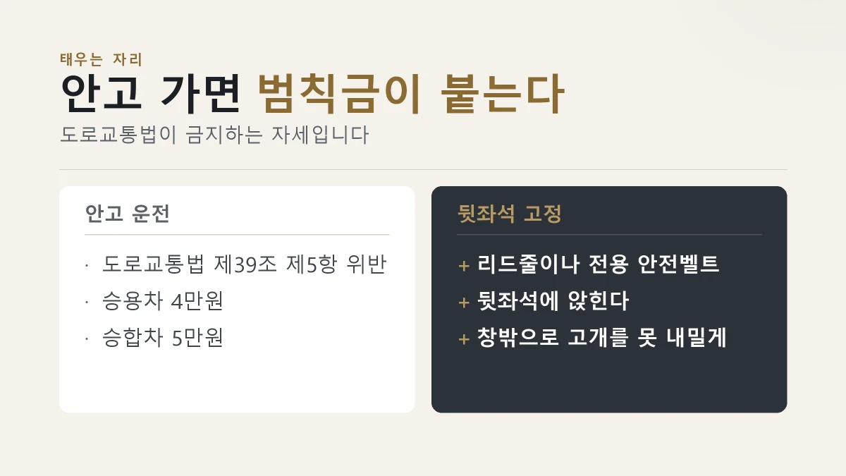 강아지를 안고 운전하는 것과 뒷좌석에 고정하는 것을 견준 그림
