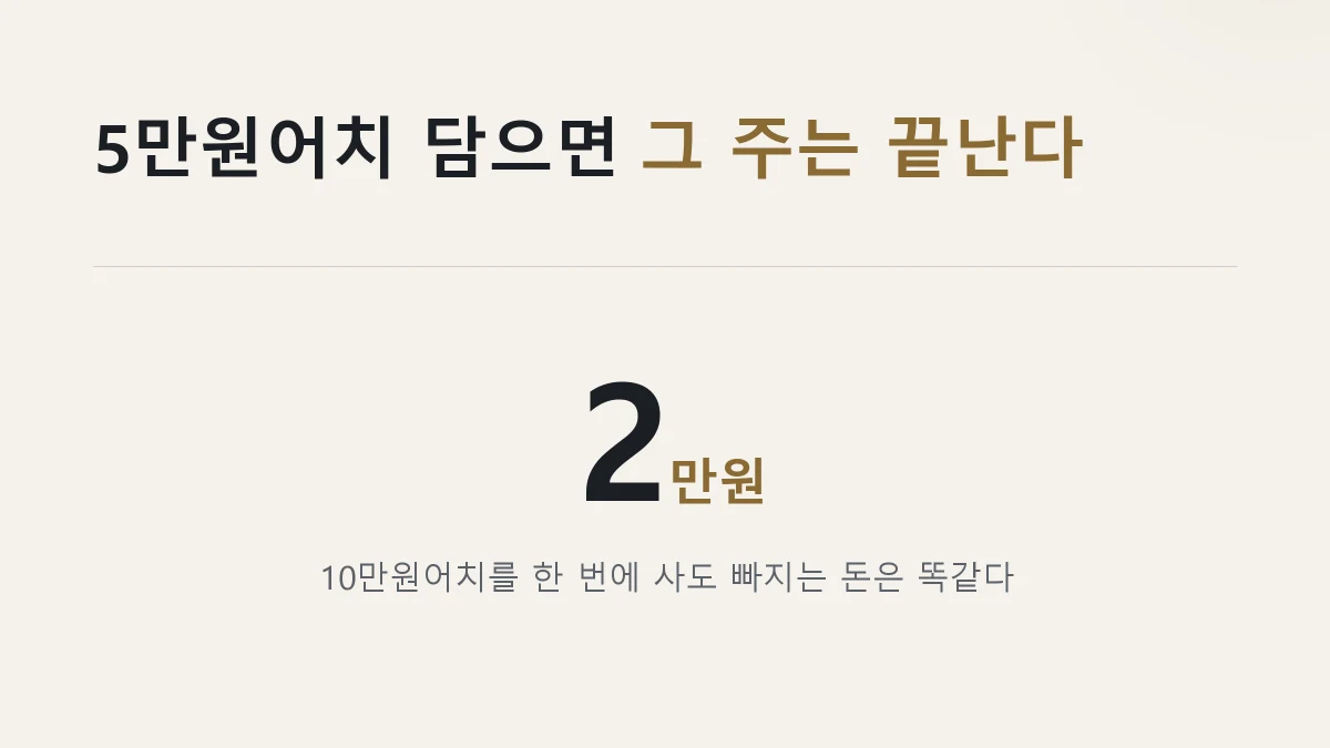 한도 2만원을 한 번에 다 쓰게 되는 것을 적은 그림