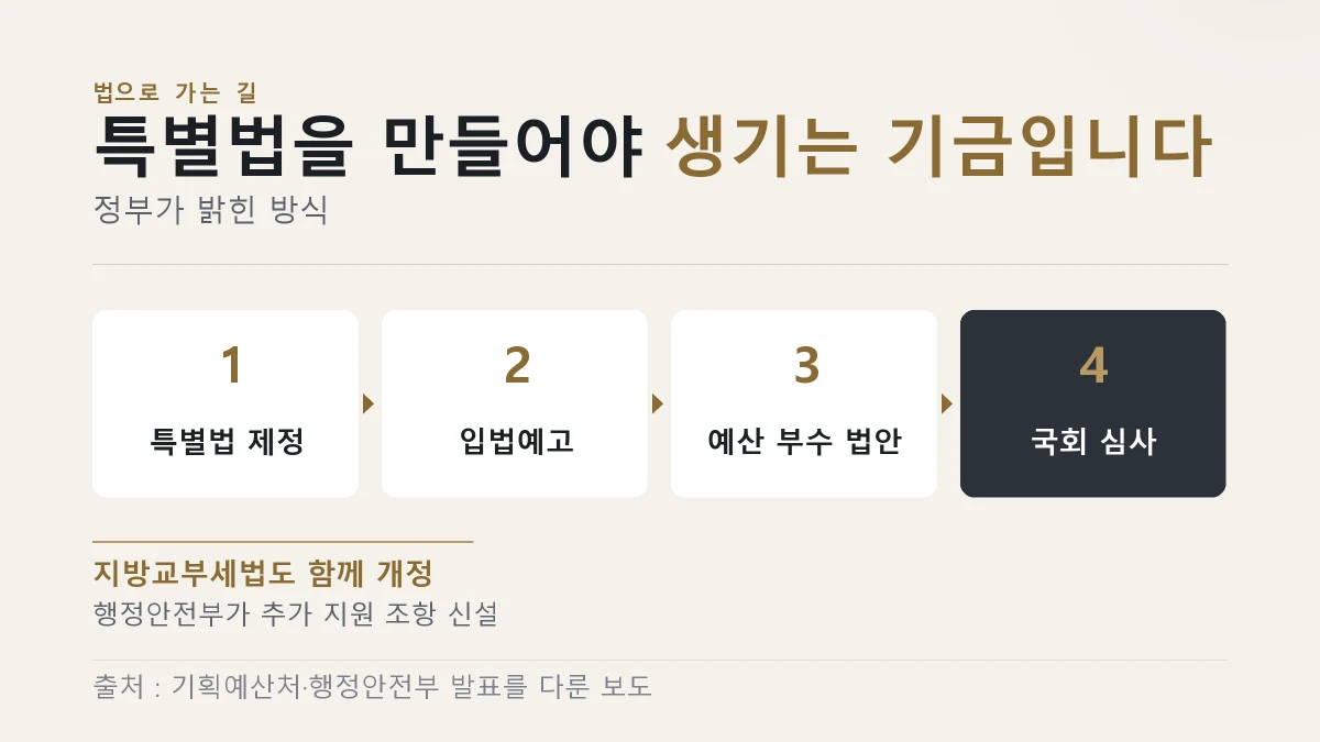미래대응기금이 특별법 제정과 국회 심사를 거치는 순서를 나타낸 그림