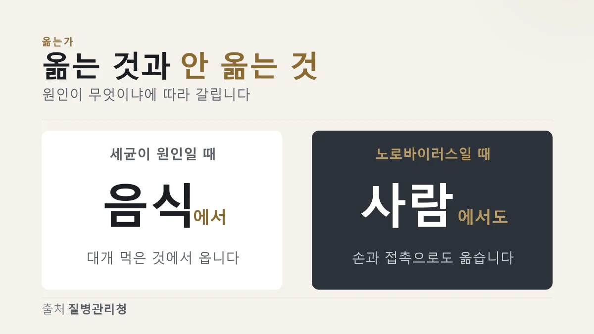 세균성 식중독과 노로바이러스의 전파 경로가 다르다는 것을 갈라 보여 주는 이미지