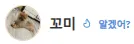 새끼가 알려주는 ▶댕댕뉴스 서리 커뮤니티 등급◀ 5