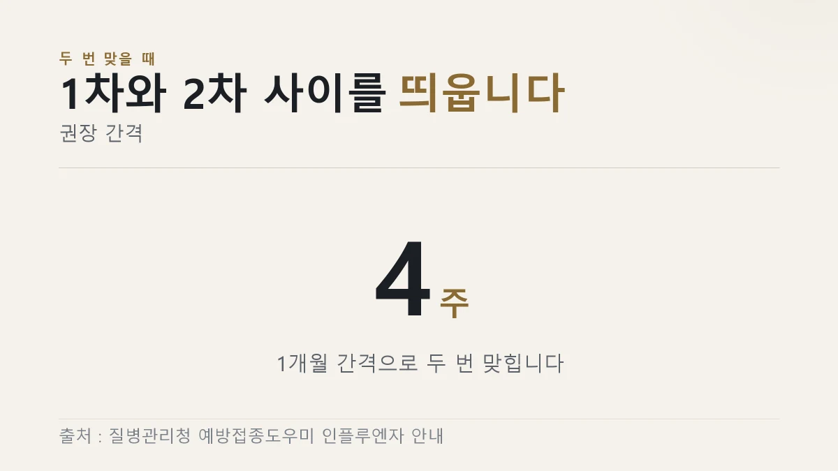 독감 2회 접종의 1차와 2차 사이 간격이 4주라는 것을 크게 적은 그림