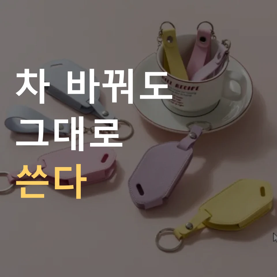 가죽 키홀더 차키커버 추천 "전 차종 가능?"