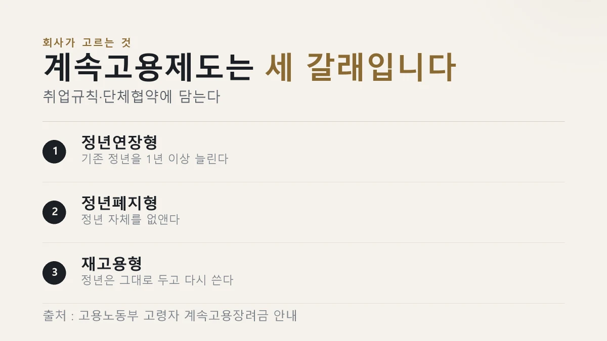 계속고용제도의 정년연장형·정년폐지형·재고용형 세 갈래를 정리한 그림