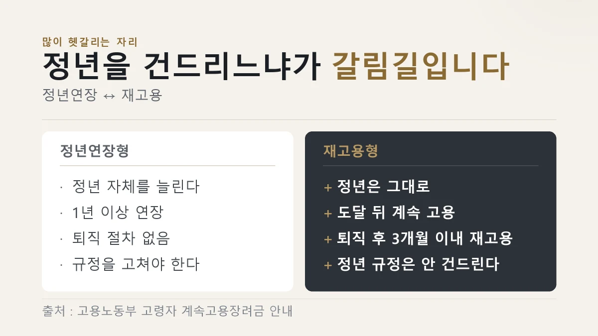 정년연장형과 재고용형이 정년 규정을 건드리는지로 갈리는 것을 견준 그림