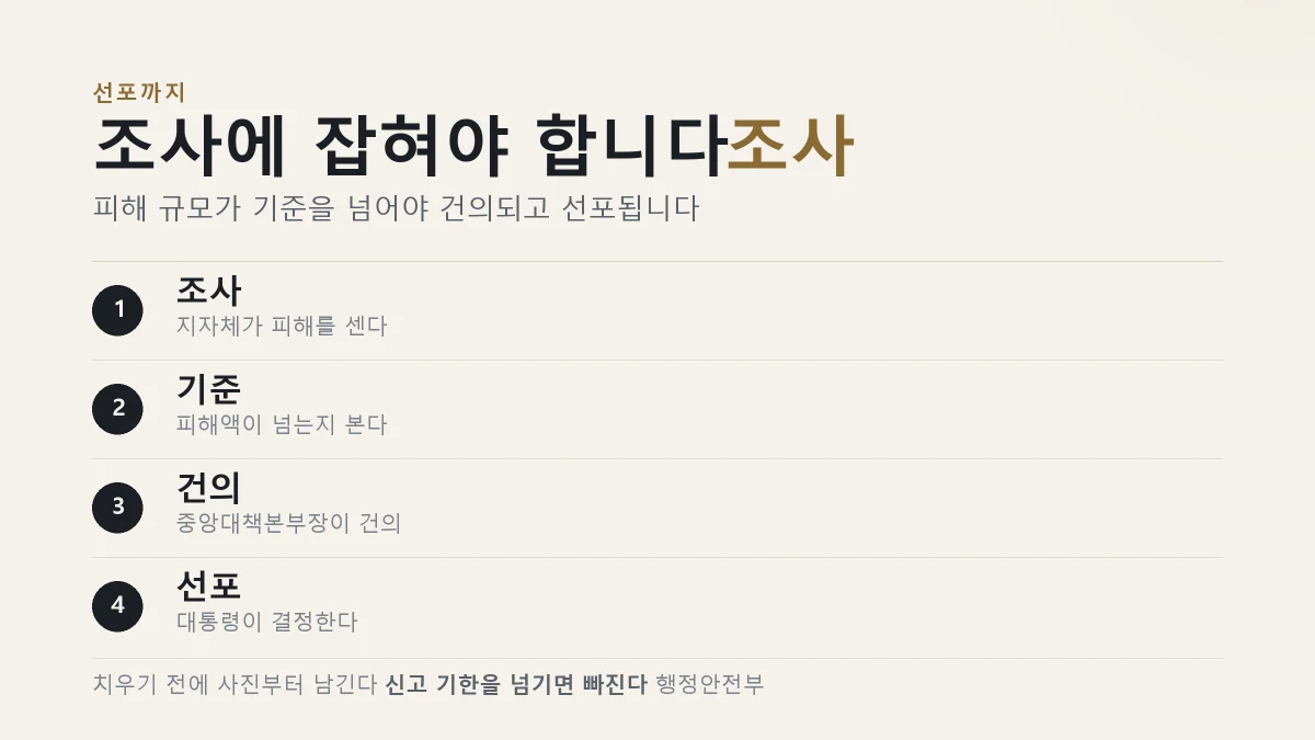 특별재난지역 선포 절차와 확인 방법을 정리한 표