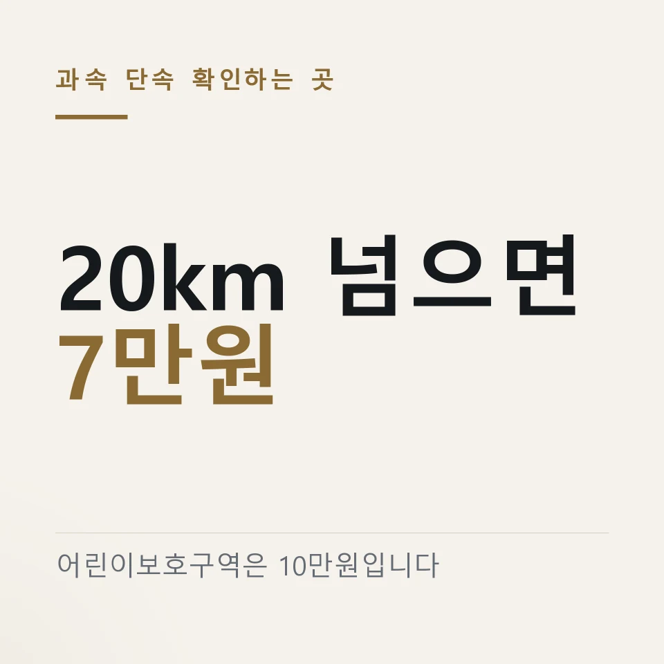 "1만원 싸길래" 이파인 과속 단속 조회 벌점 40점