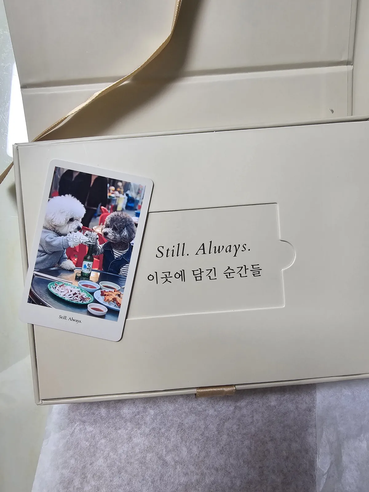인싸된 흑임자~~ 🤗 3