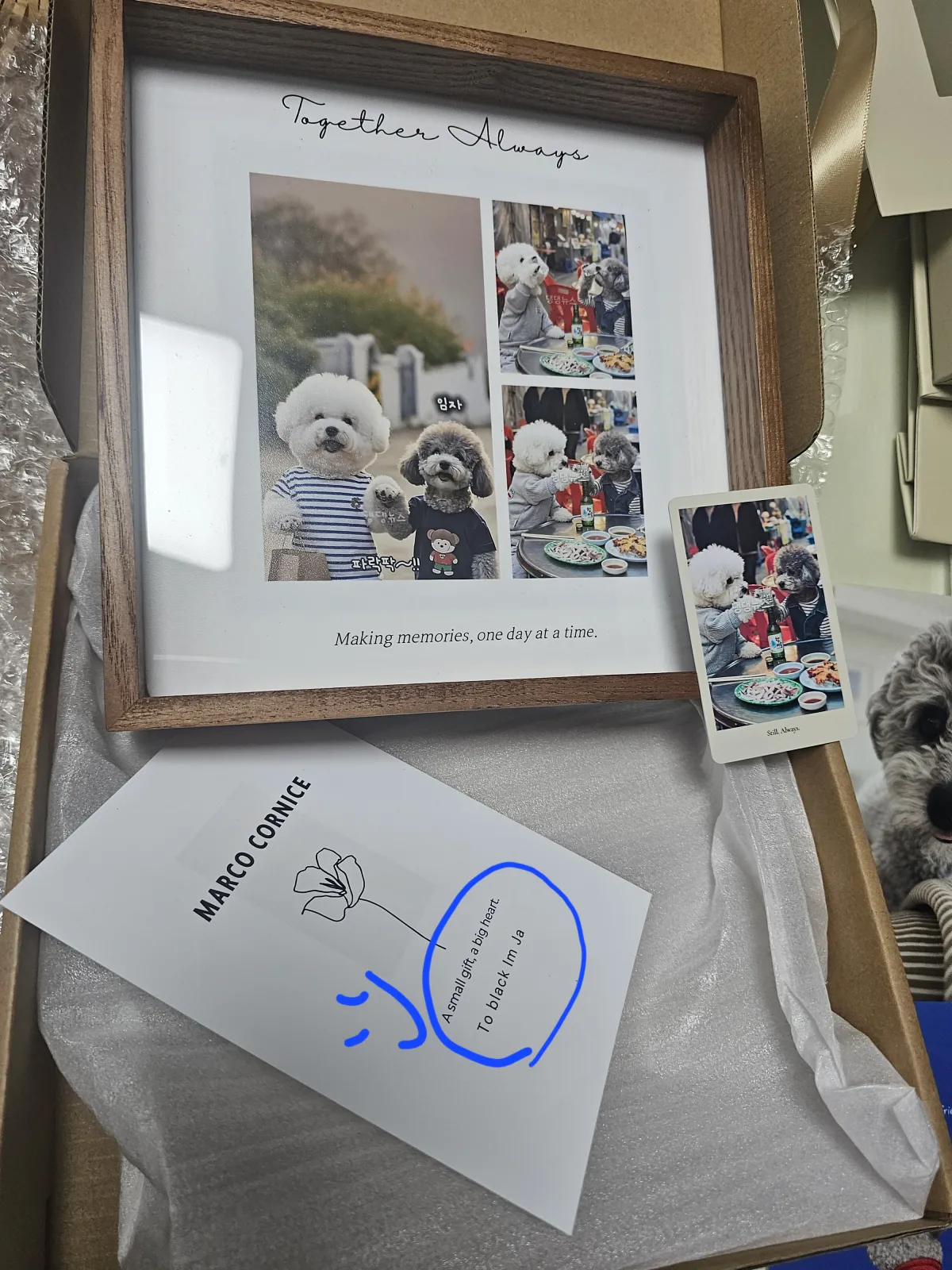 인싸된 흑임자~~ 🤗
