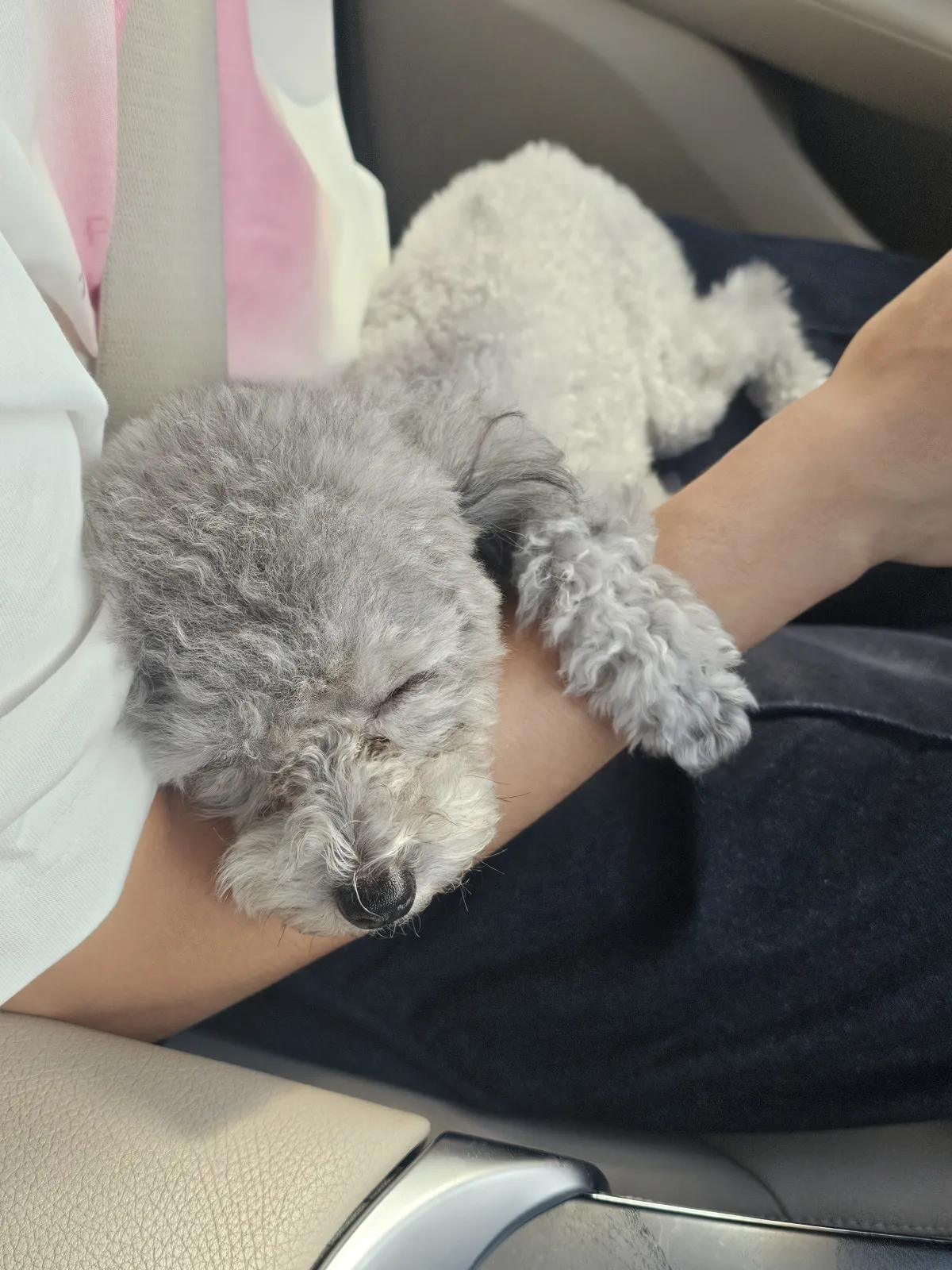 임똘 브라더스의 첫 만남! 😆😍 3