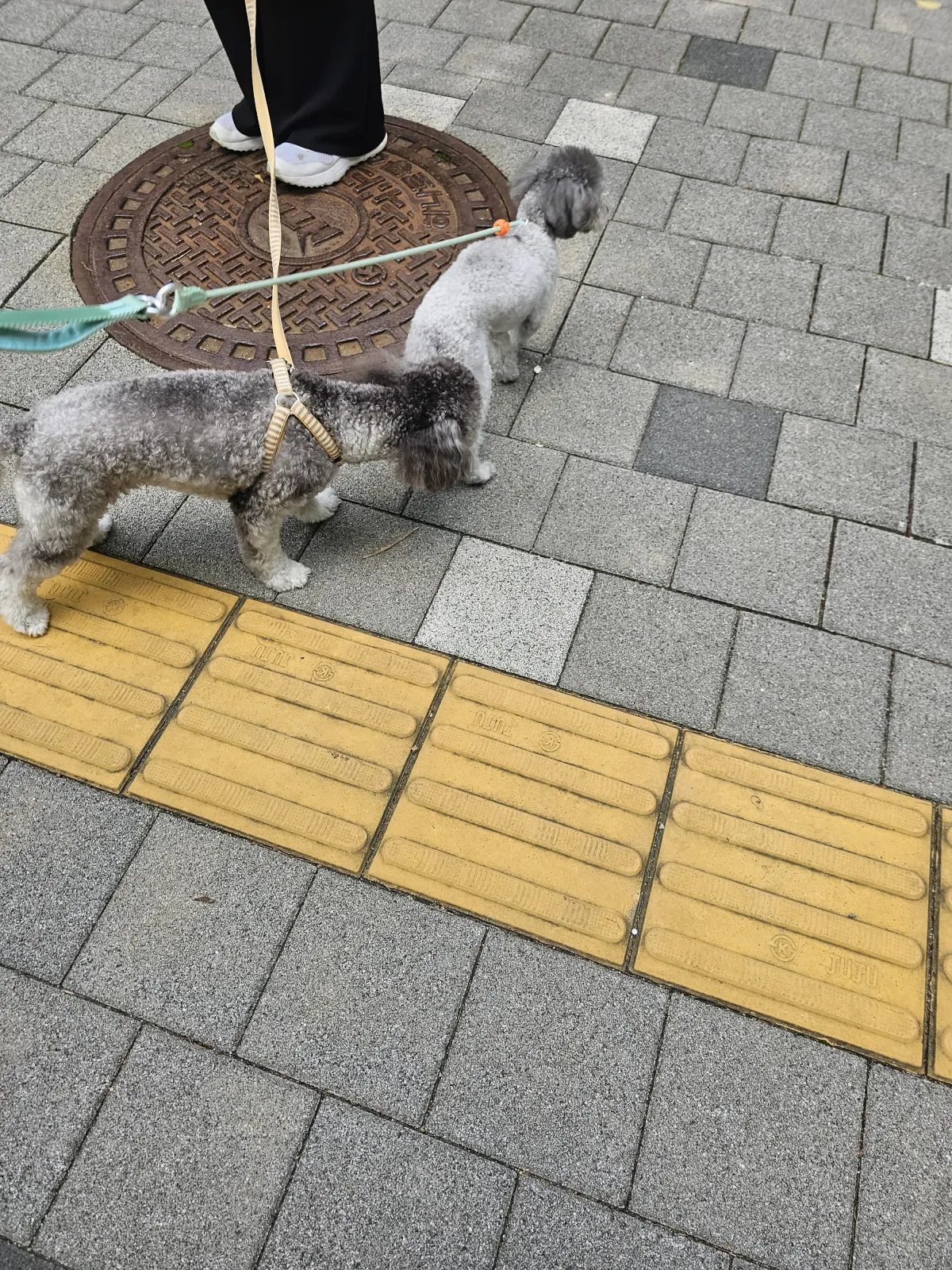 임똘 브라더스의 첫 만남! 😆😍 8