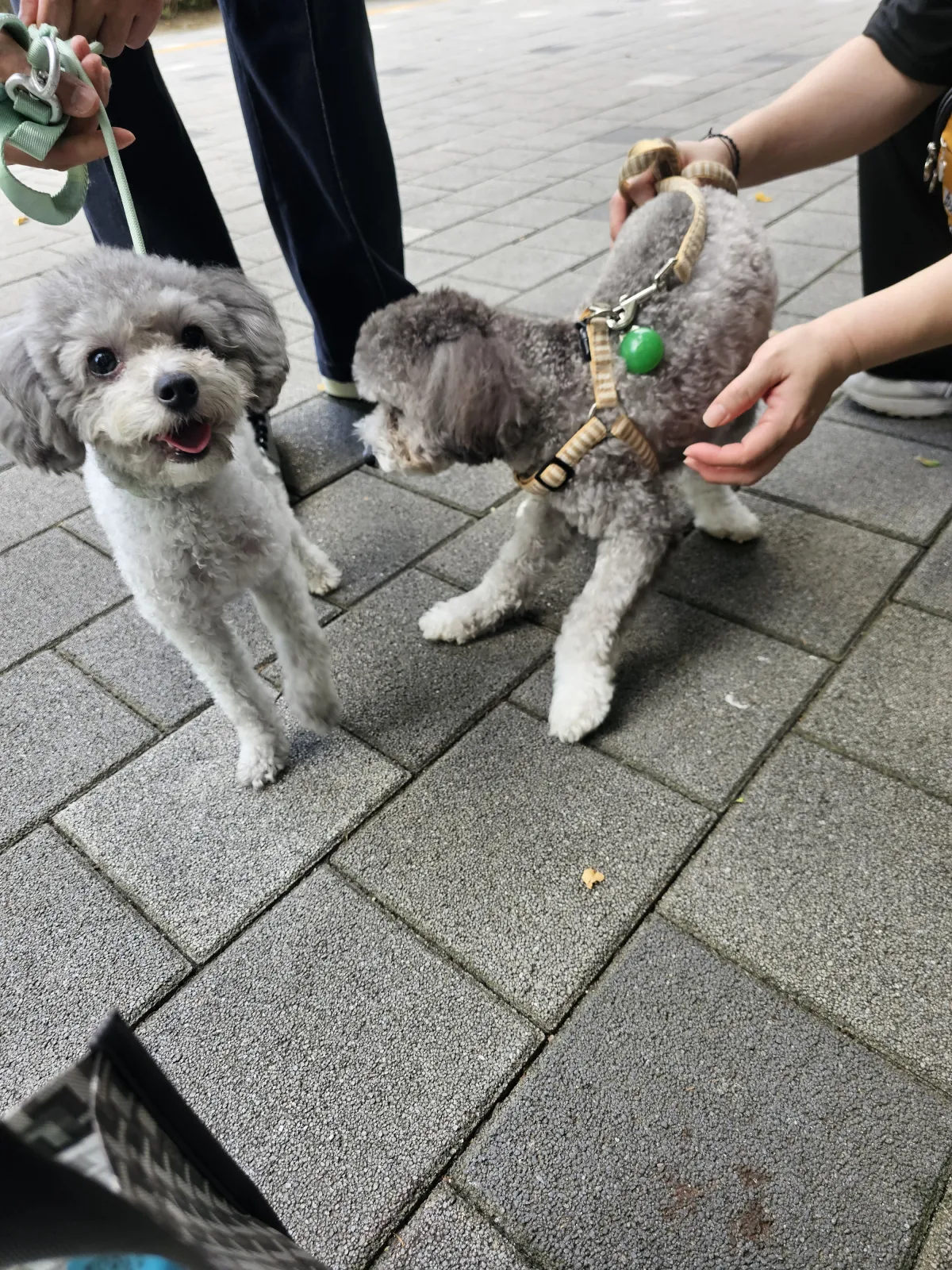 임똘 브라더스의 첫 만남! 😆😍 5