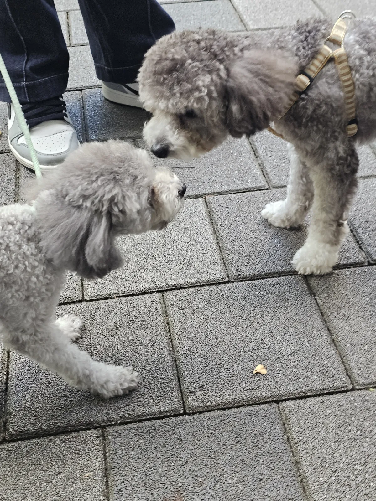 임똘 브라더스의 첫 만남! 😆😍 6