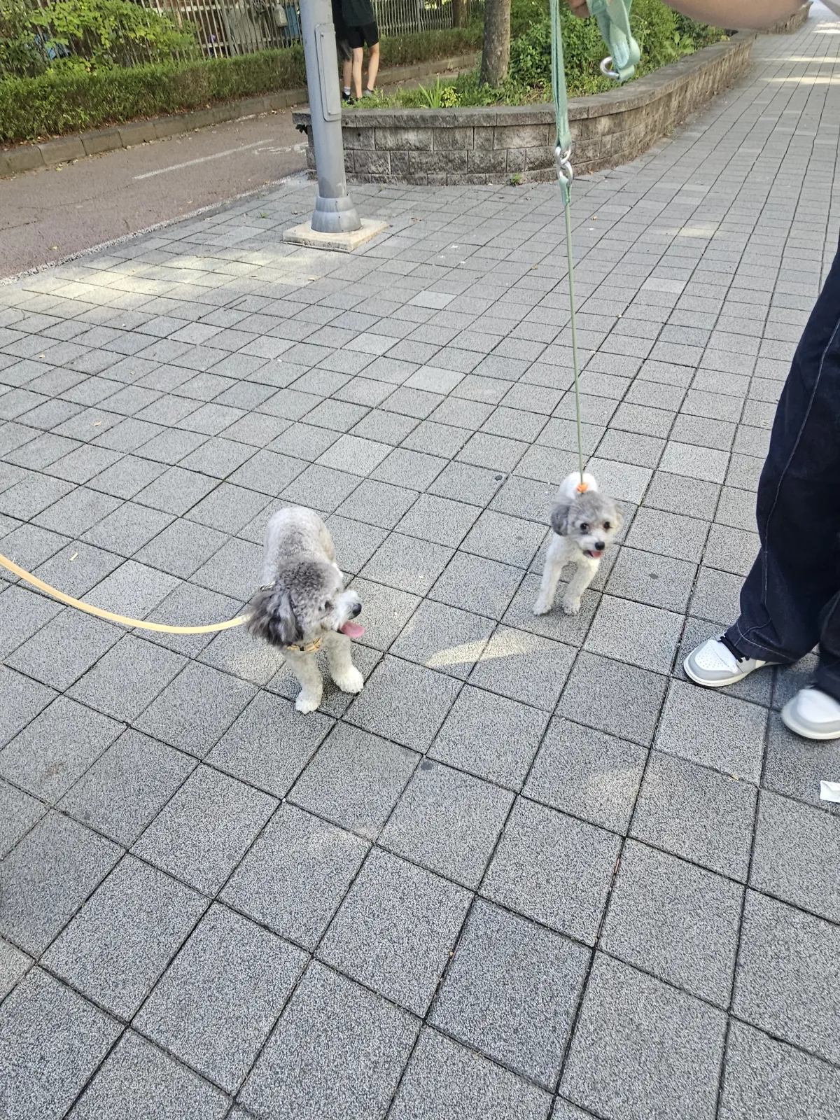 임똘 브라더스의 첫 만남! 😆😍 11