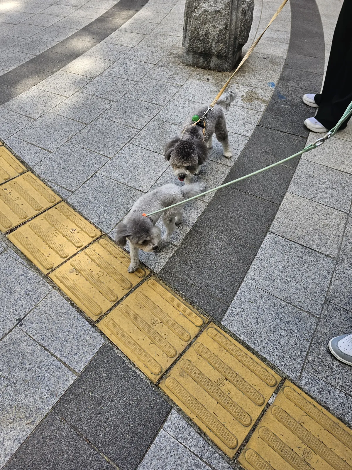 임똘 브라더스의 첫 만남! 😆😍 7