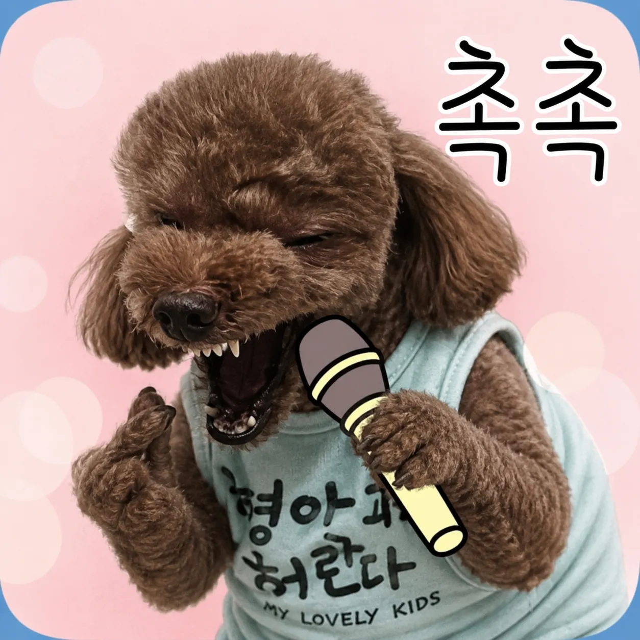 뿌꾸보고 가세요2ㅋㅋㅋ 3