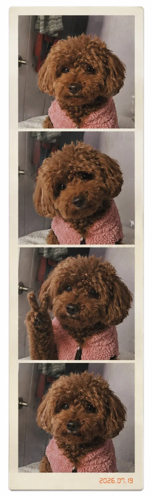 뿌꾸보고 가세요2ㅋㅋㅋ 9