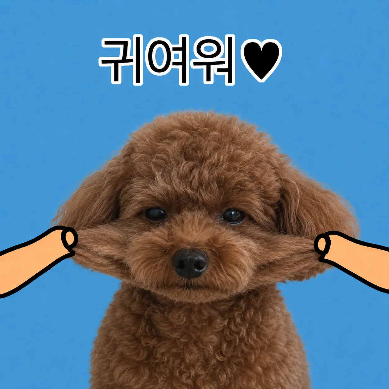 뿌꾸보고 가세요ㅋㅋㅋ 3