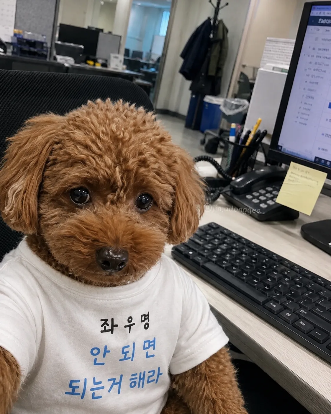 서리 키우기 게임 보상후 4