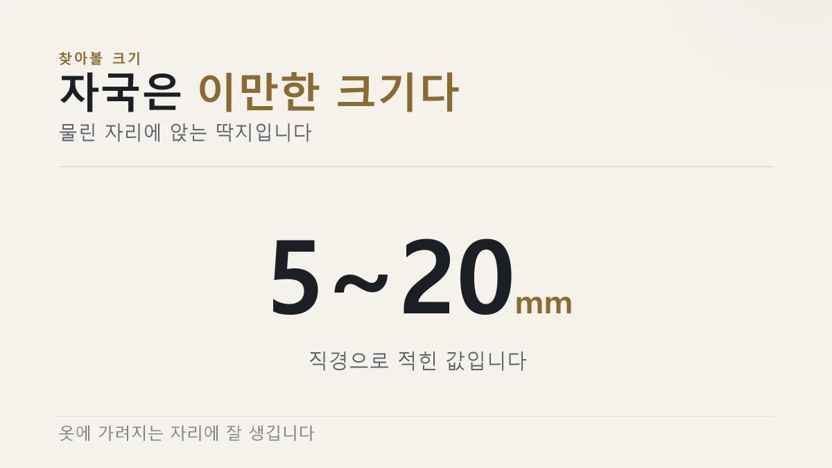 털진드기 유충이 체액을 섭취하는 과정에서 옮는다