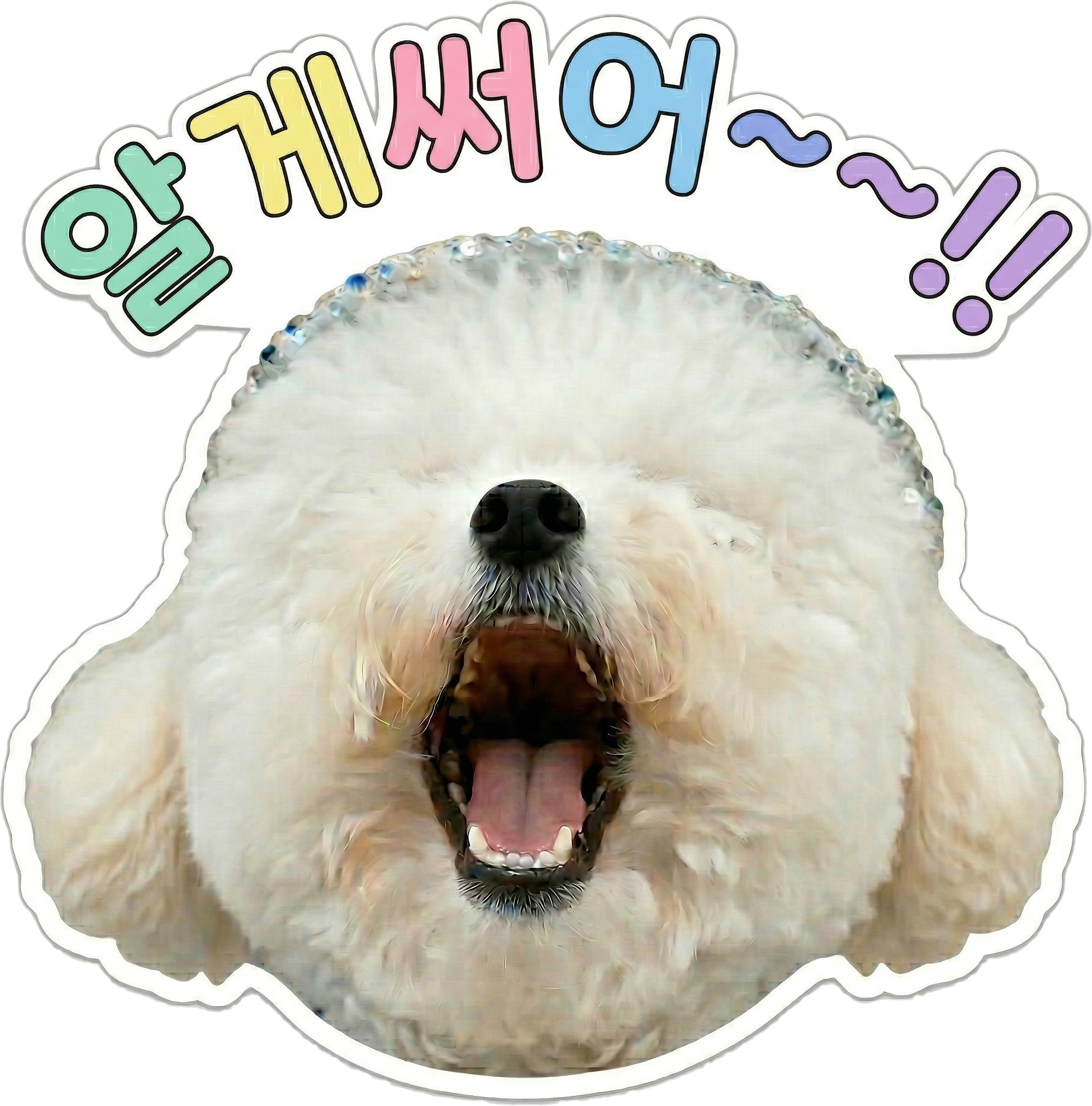 댕댕뉴스 서리 관련 링크 모음 알게써~!!
