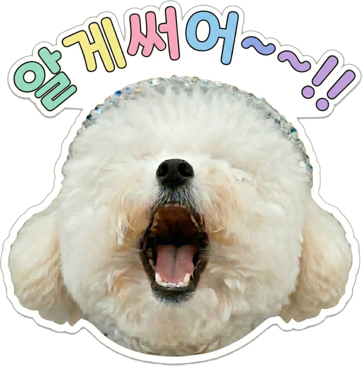 댕댕뉴스 서리 관련 카톡, SNS 링크 및 커뮤니티 그리고 후원, 맴버십, 이모티콘, 굿즈 내용 정리