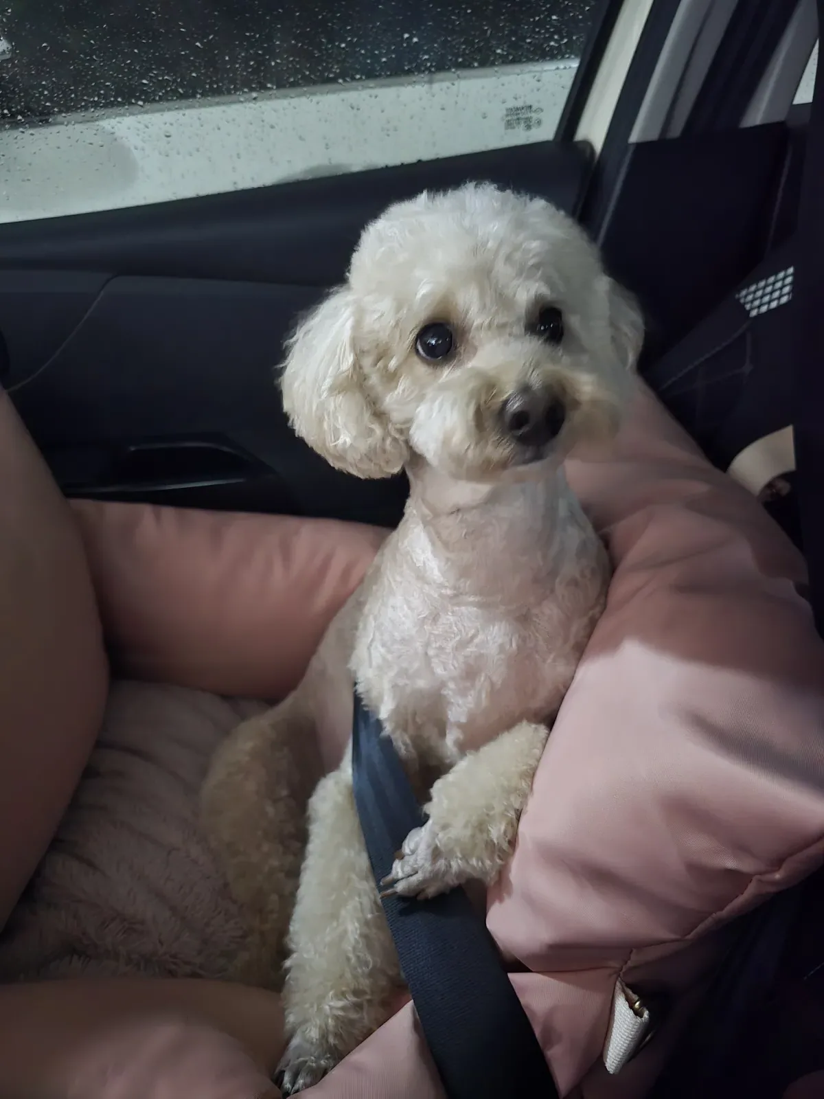 오늘도 수고하셨습니당 💫 2