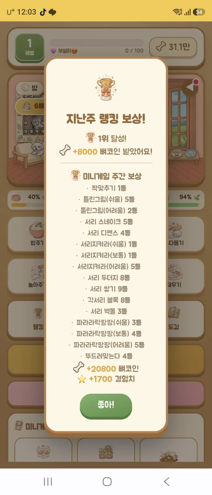 서리키우기게임 리셋완료
