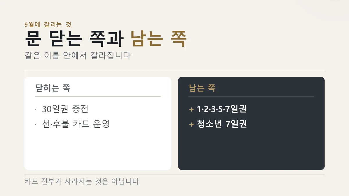9월 1일 모두의카드 기후동행패스가 나온다