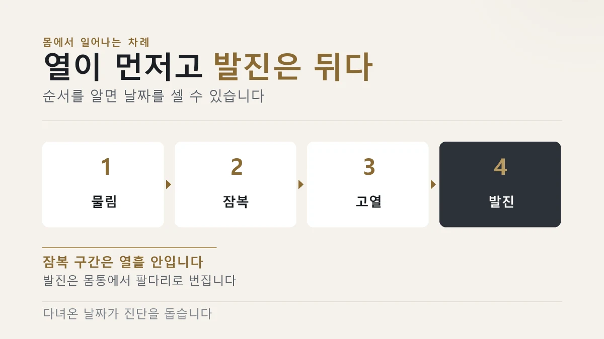 쯔쯔가무시 치료는 항생제로 한다