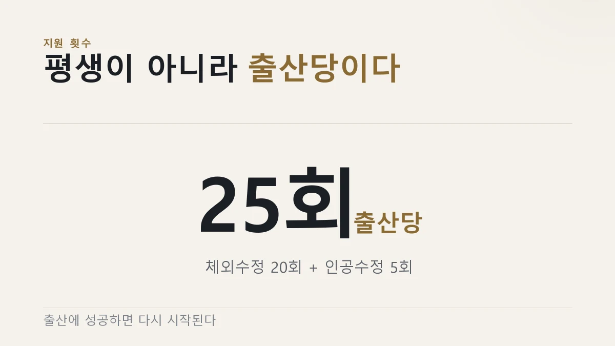 출산당 지원 횟수가 체외수정 20회와 인공수정 5회를 합쳐 25회라는 것을 보여주는 그림