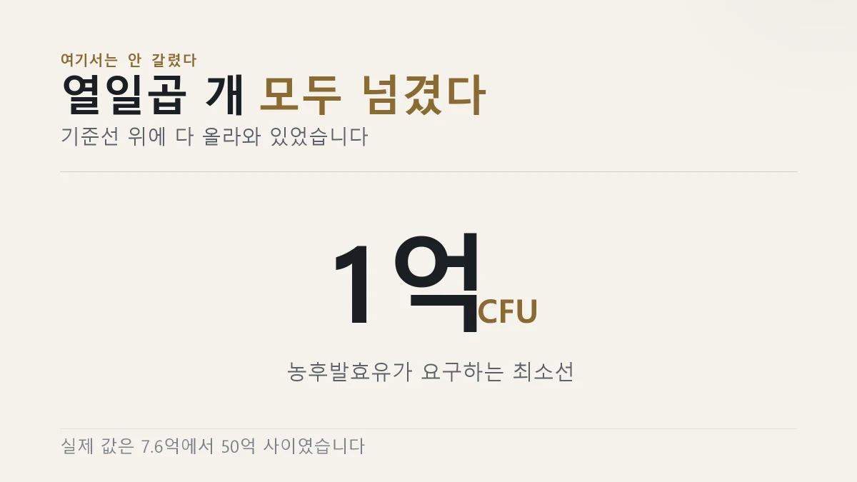유산균 수는 모든 제품이 농후발효유 기준을 넘겼다