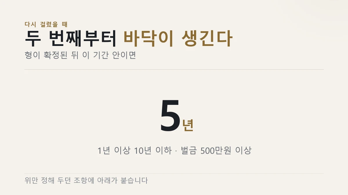양벌규정으로 법인이나 개인도 함께 처벌된다