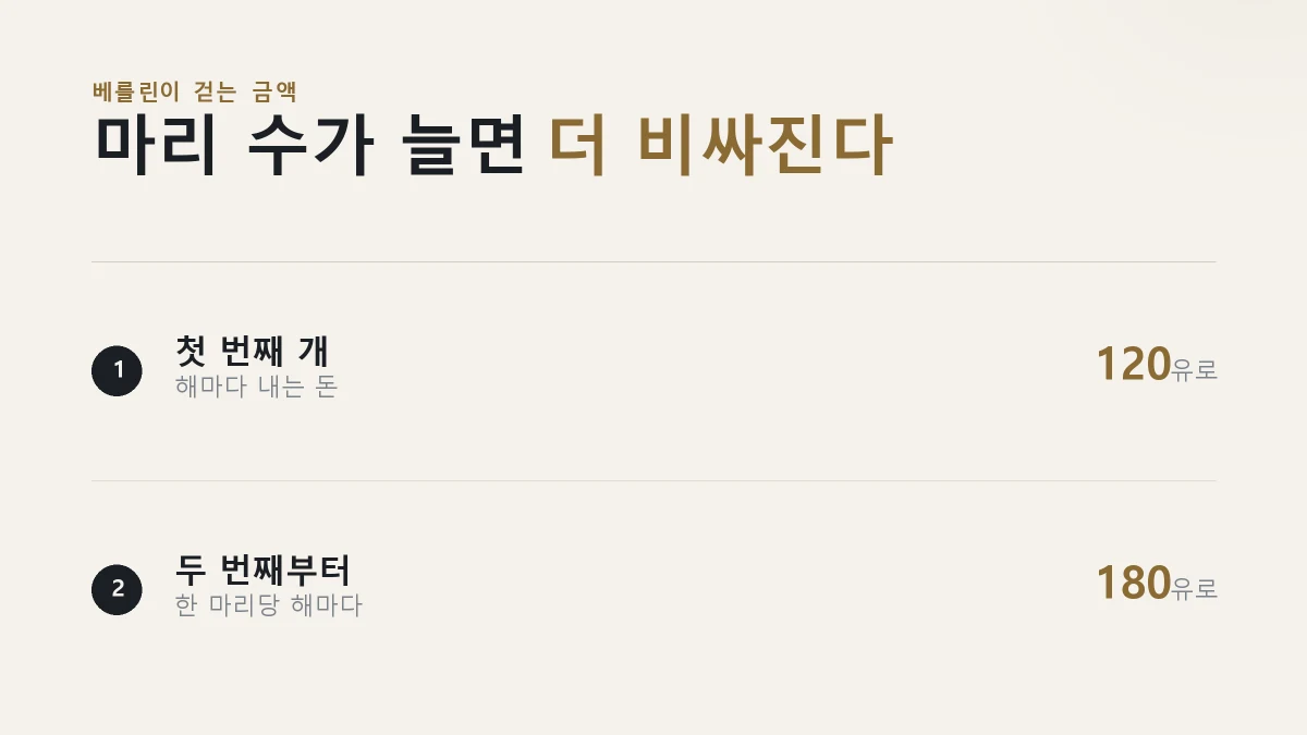 베를린에서 첫 번째 개와 두 번째 개에게 물리는 연간 세액을 정리한 그림