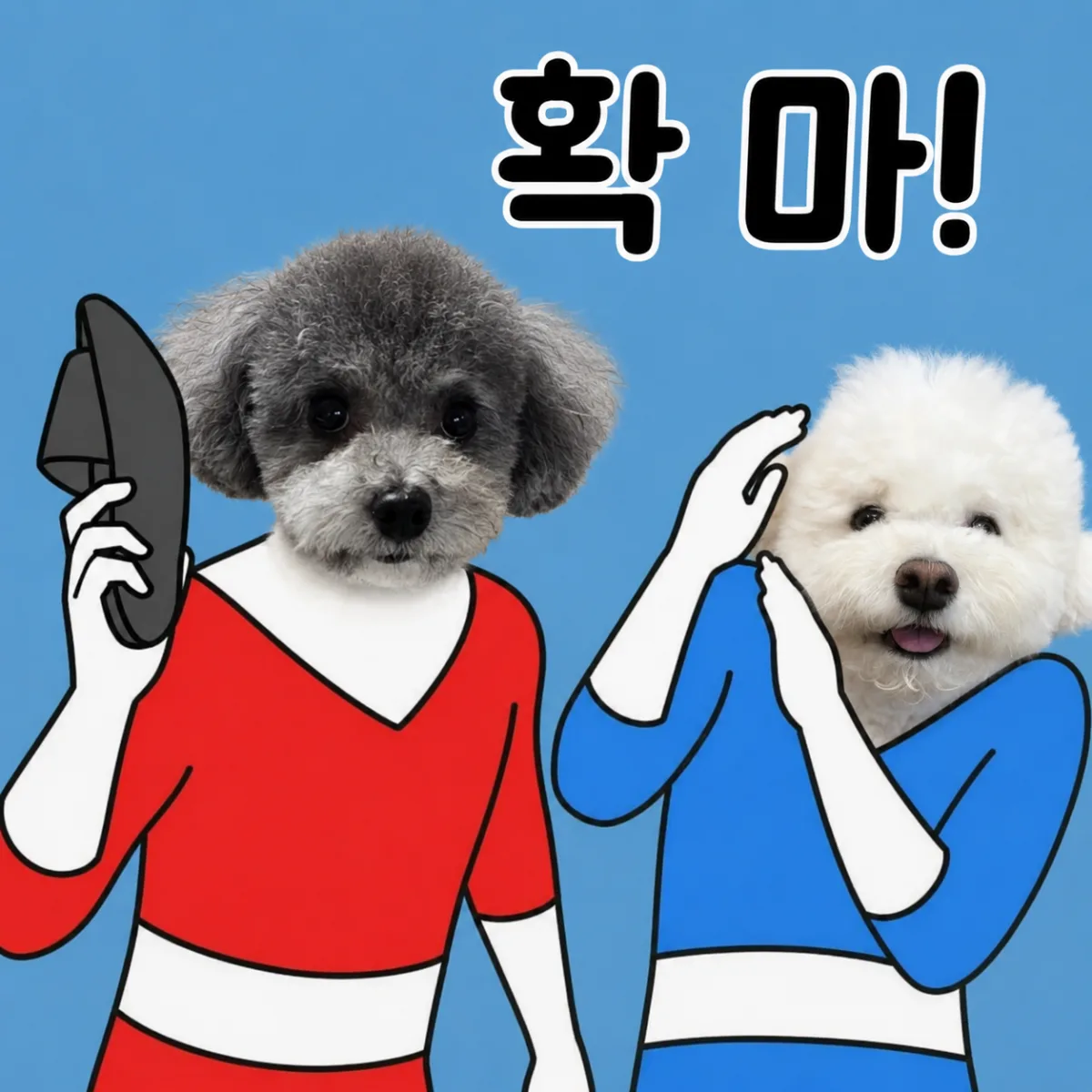 타꾸형아 잡도리 ㅋㅋㅋ