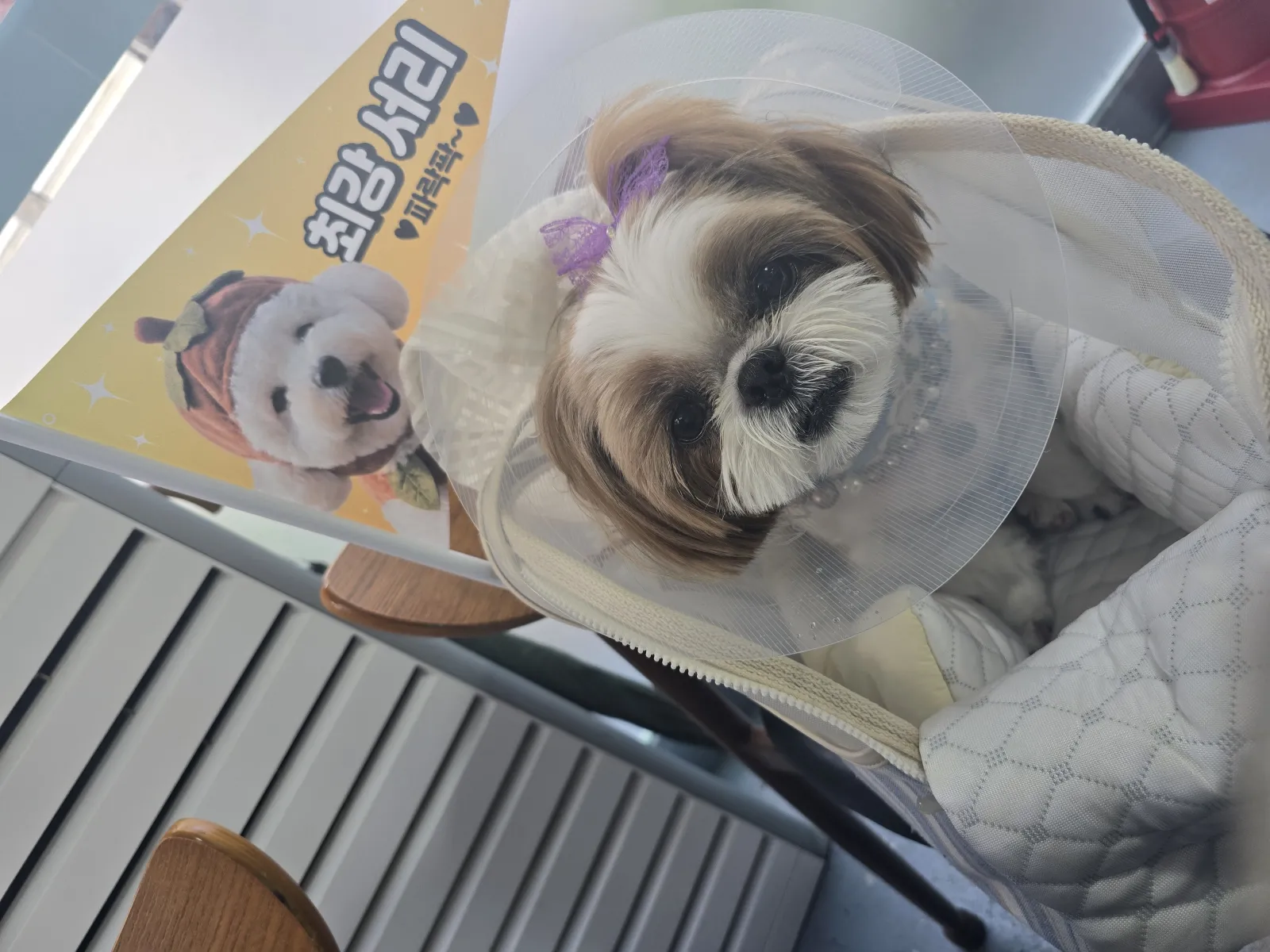 유후 부산가다 8