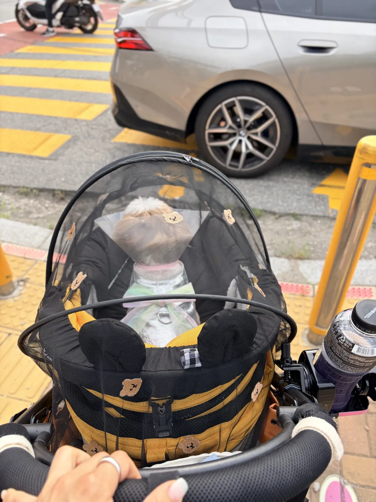 드디어 끝!!! 3