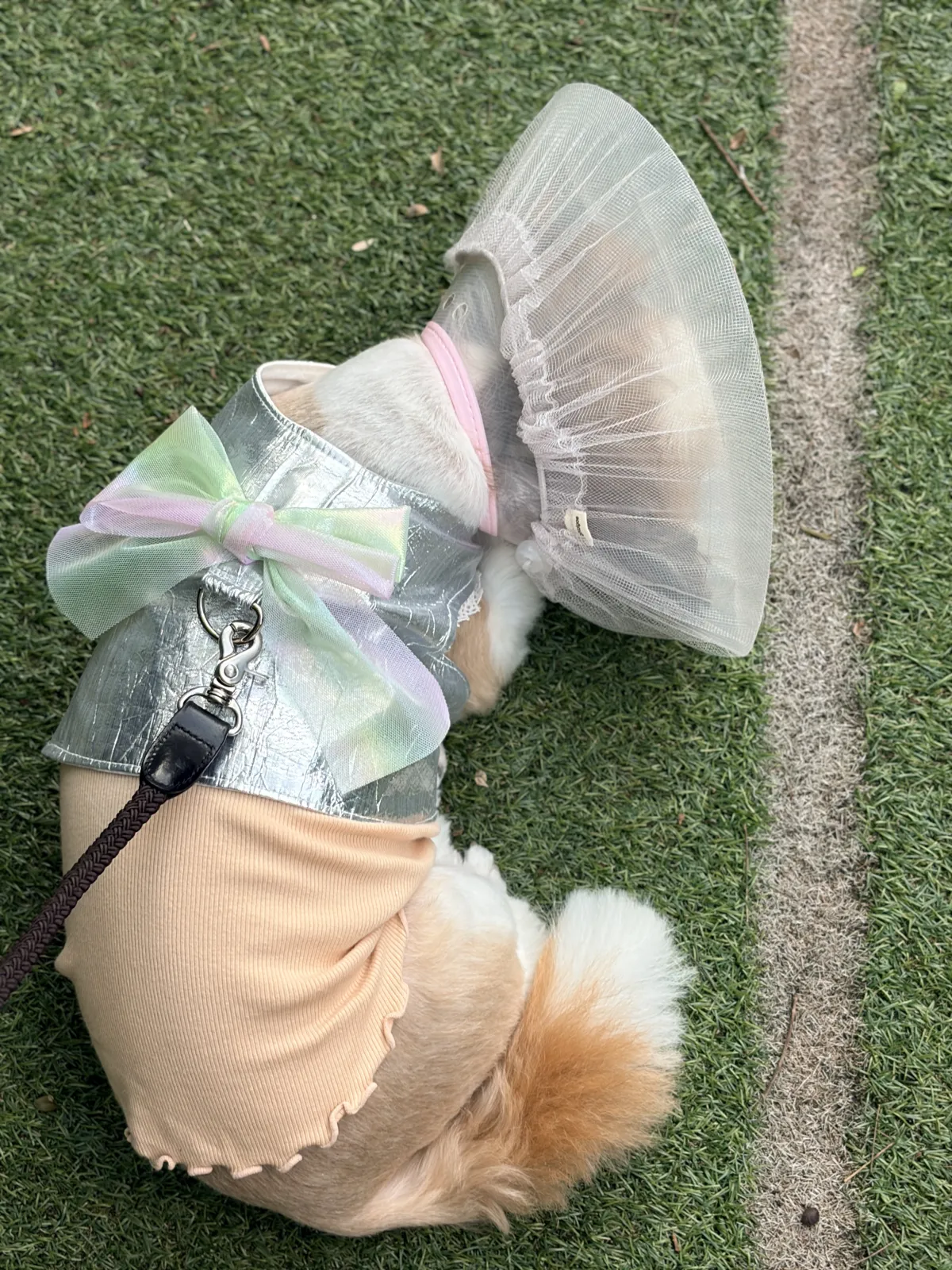 드디어 끝!!! 4