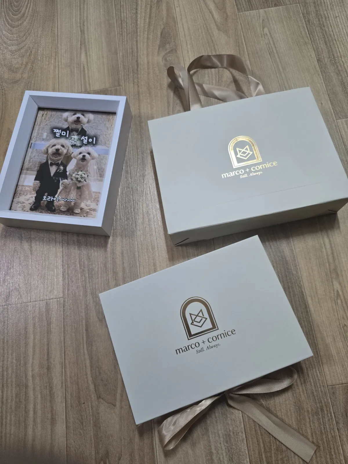 새끼&부설이네 ┌사위 "쩔미" ♥ 며느리 "설이" ┐결혼사진 6