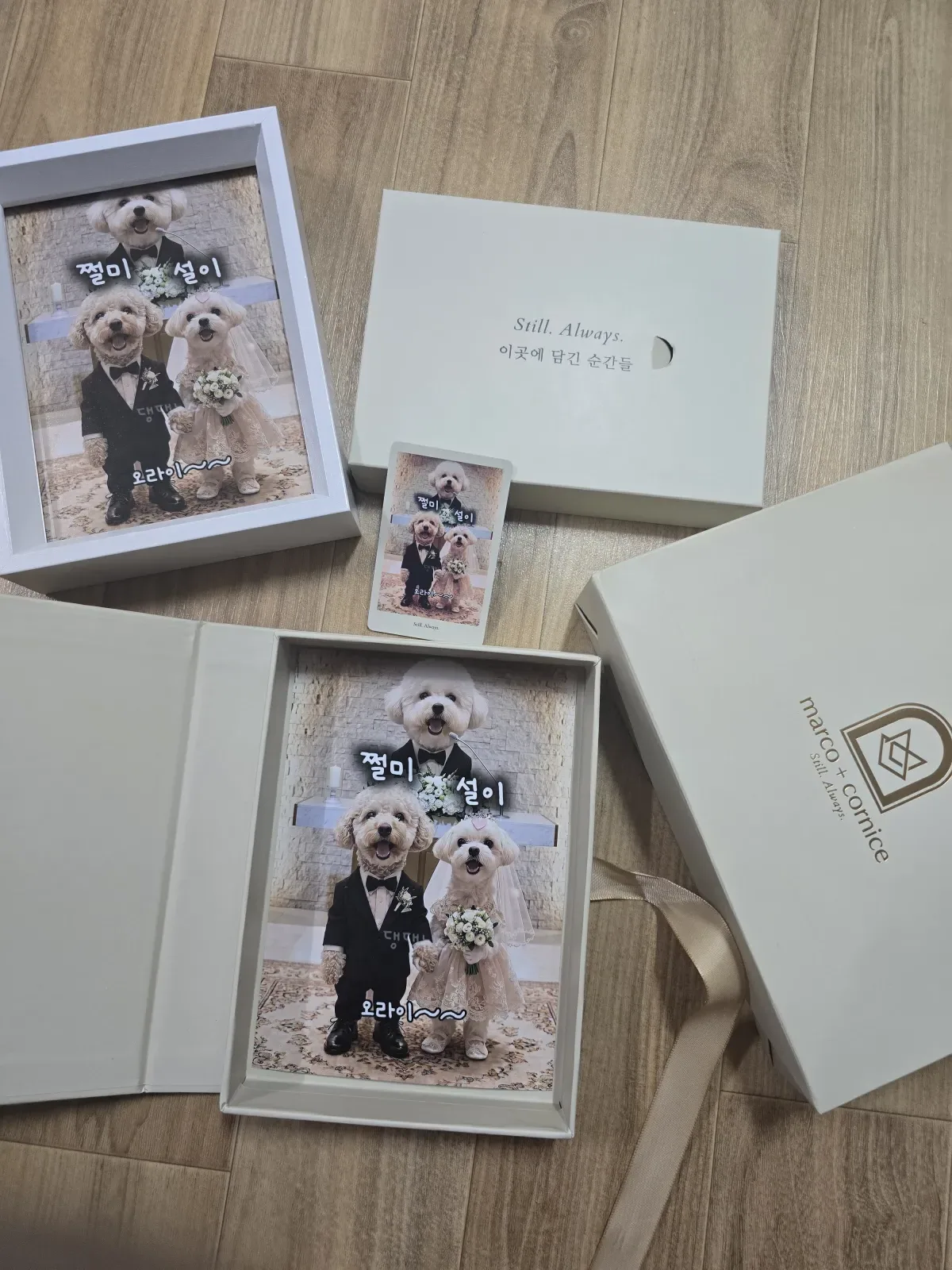 새끼&부설이네 ┌사위 "쩔미" ♥ 며느리 "설이" ┐결혼사진 7