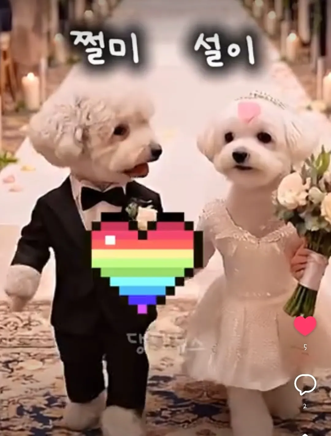 새끼&부설이네 ┌사위 "쩔미" ♥ 며느리 "설이" ┐결혼사진
