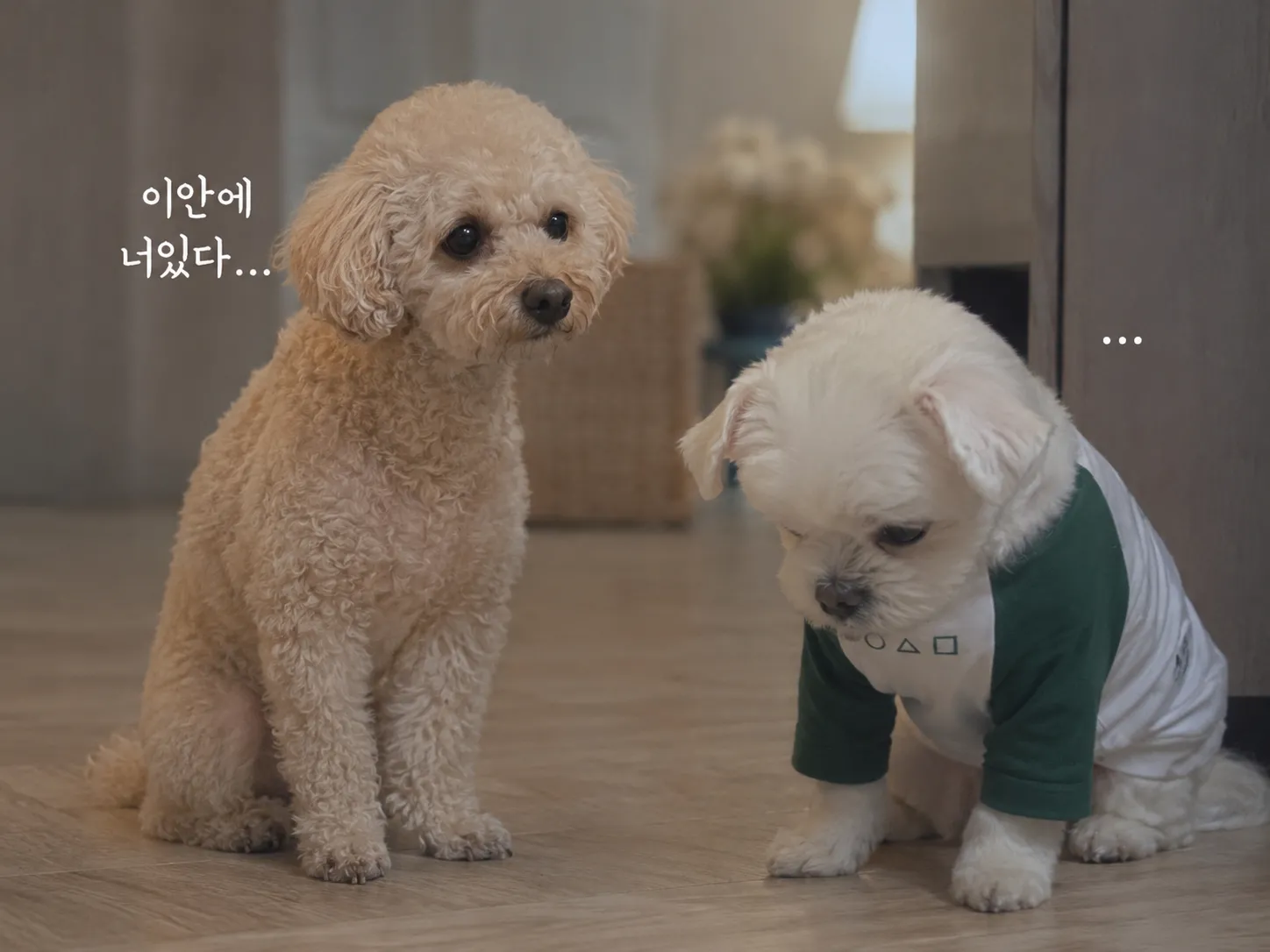 새끼&부설이네 ┌사위 "쩔미" ♥ 며느리 "설이" ┐결혼사진 2