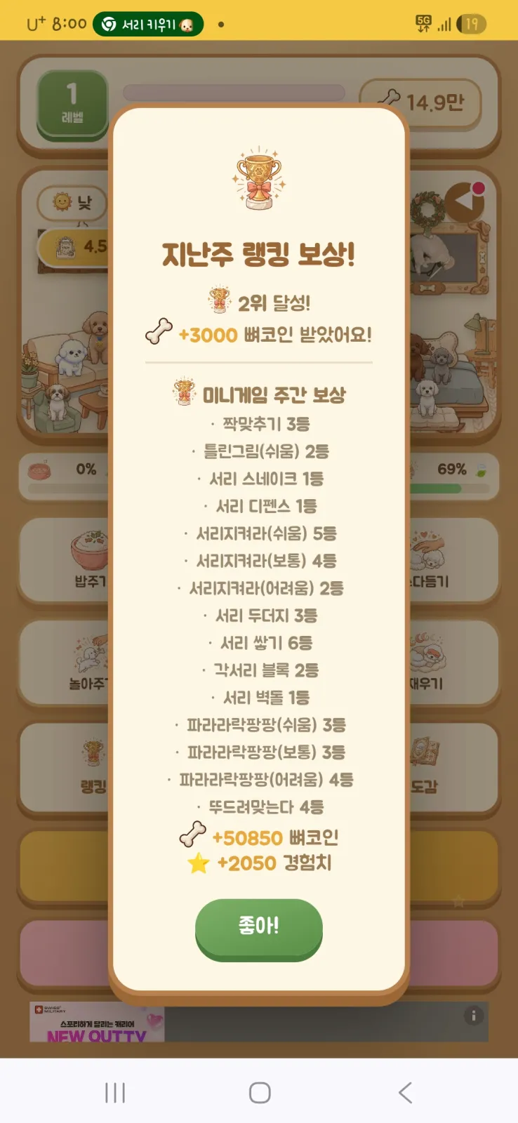 서리키우기게임 이번주 주간보상 새끼편 2