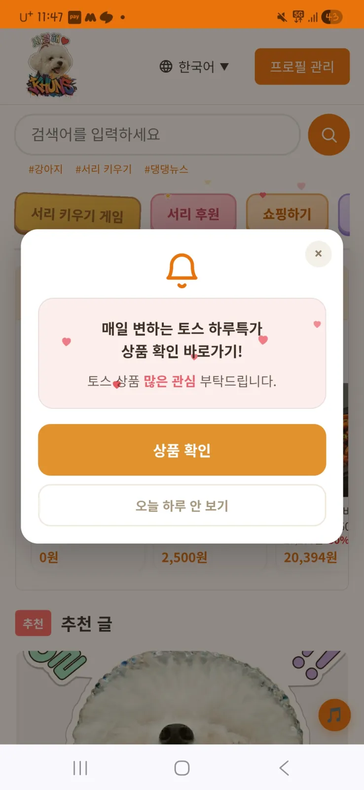 댕댕뉴스 커뮤니티 쇼핑하기 ♥찜하면 편해, 알겠어? 3