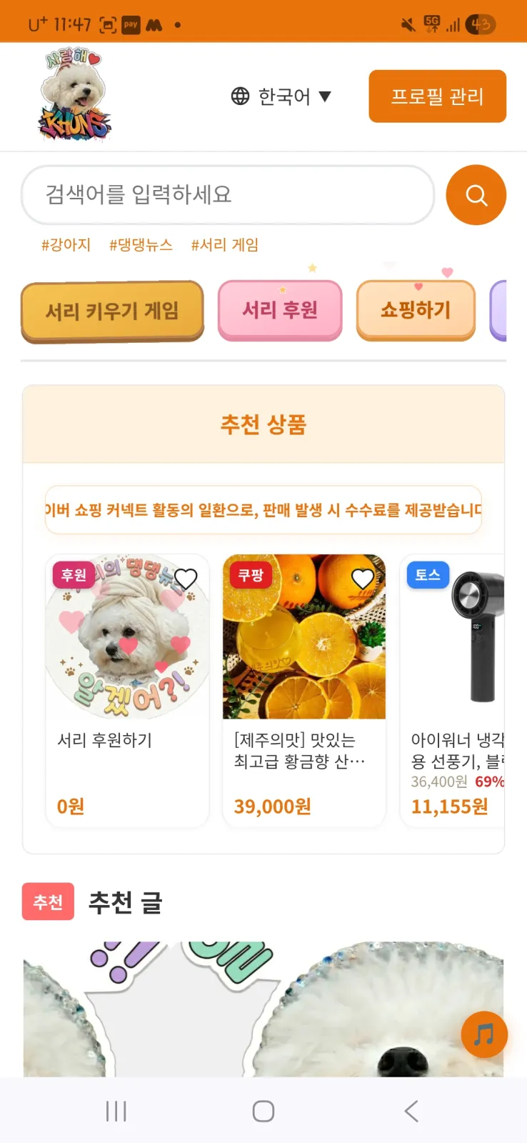 댕댕뉴스 커뮤니티 쇼핑하기 ♥찜하면 편해, 알겠어? 4