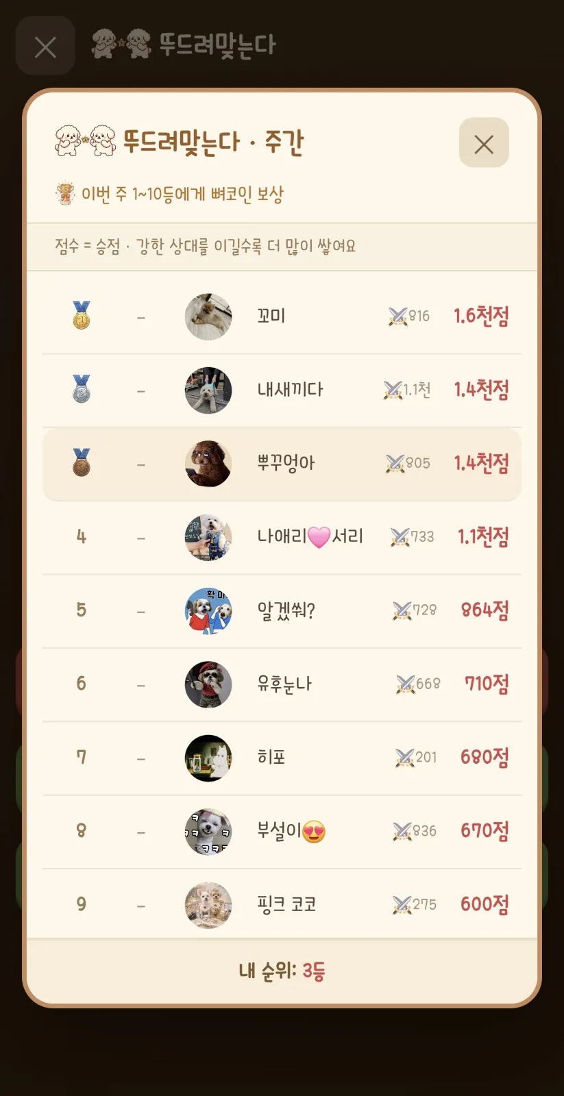 서리 키우기 게임 현재 5