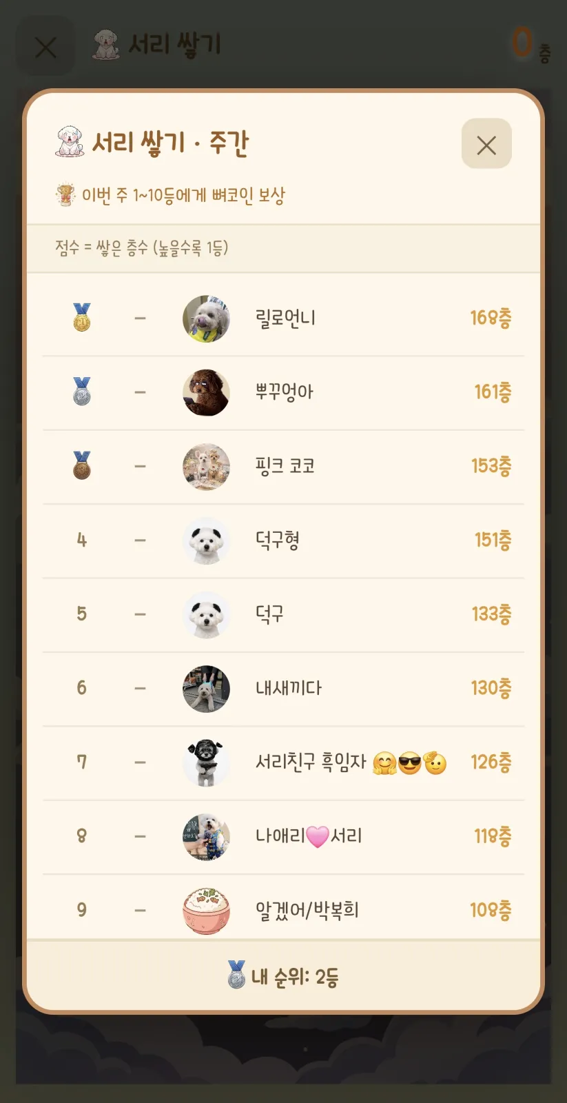 서리 키우기 게임 현재 2